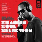 The RZA - Shaolin Soul Selection Volume 1 (2013)