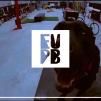 Video: Mucho Muchacho & Meta4mosis | Cream Warehouse Crew (prod.Skinny Banana)