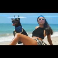 Video: Snoop Dogg | Toss it ft. Too $hort & Nef The Pharaoh